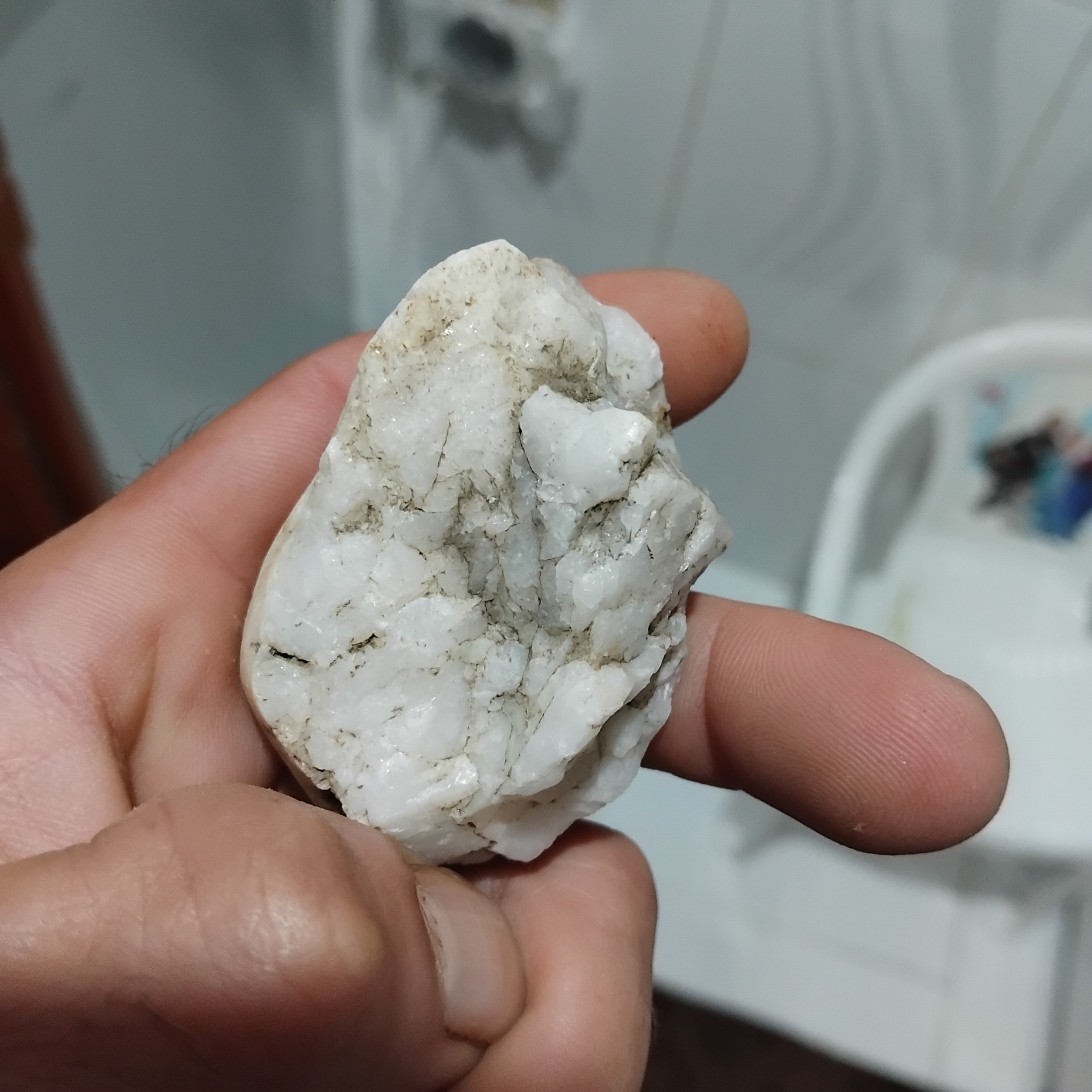 زیبای شیری راف قوی