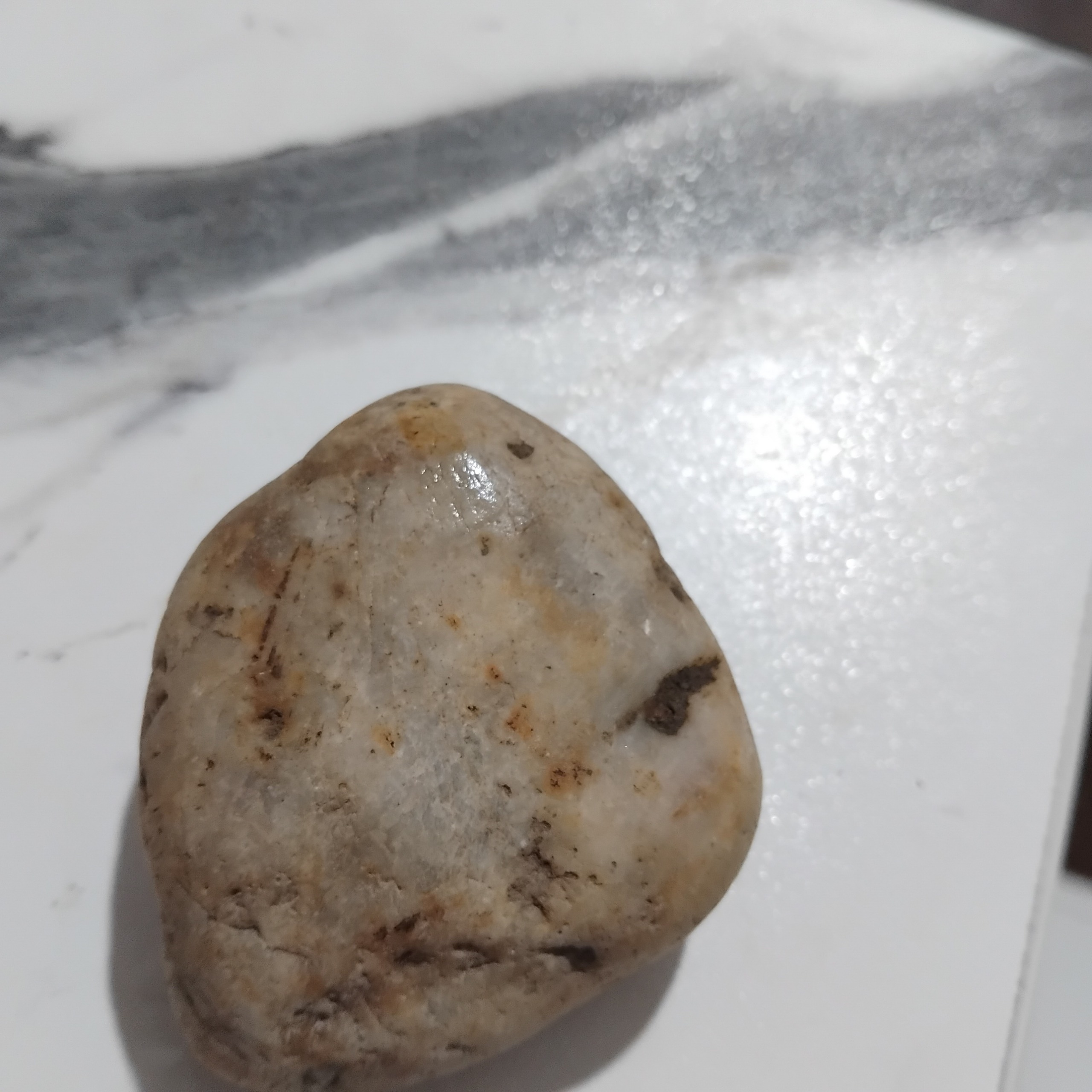 زیبای قشنگ راف بزرگ