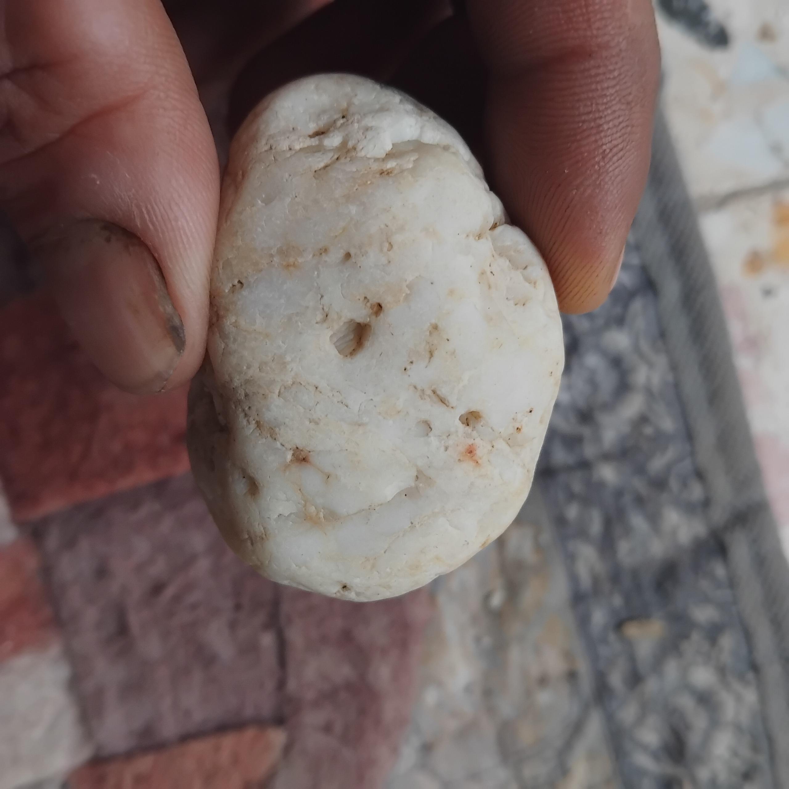 سنگ شیری صدفی زیبا