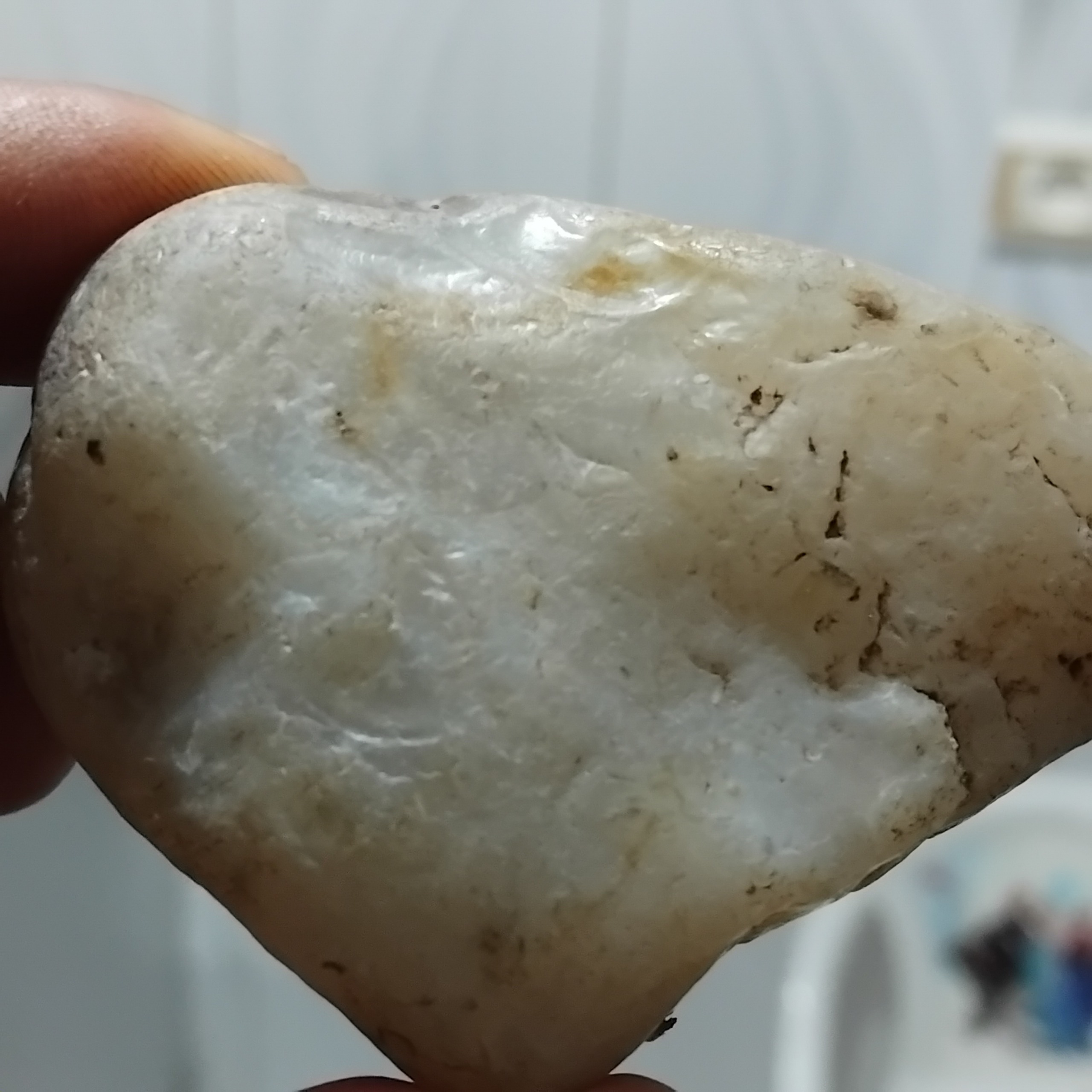 اپال زیبا قشنگ راف