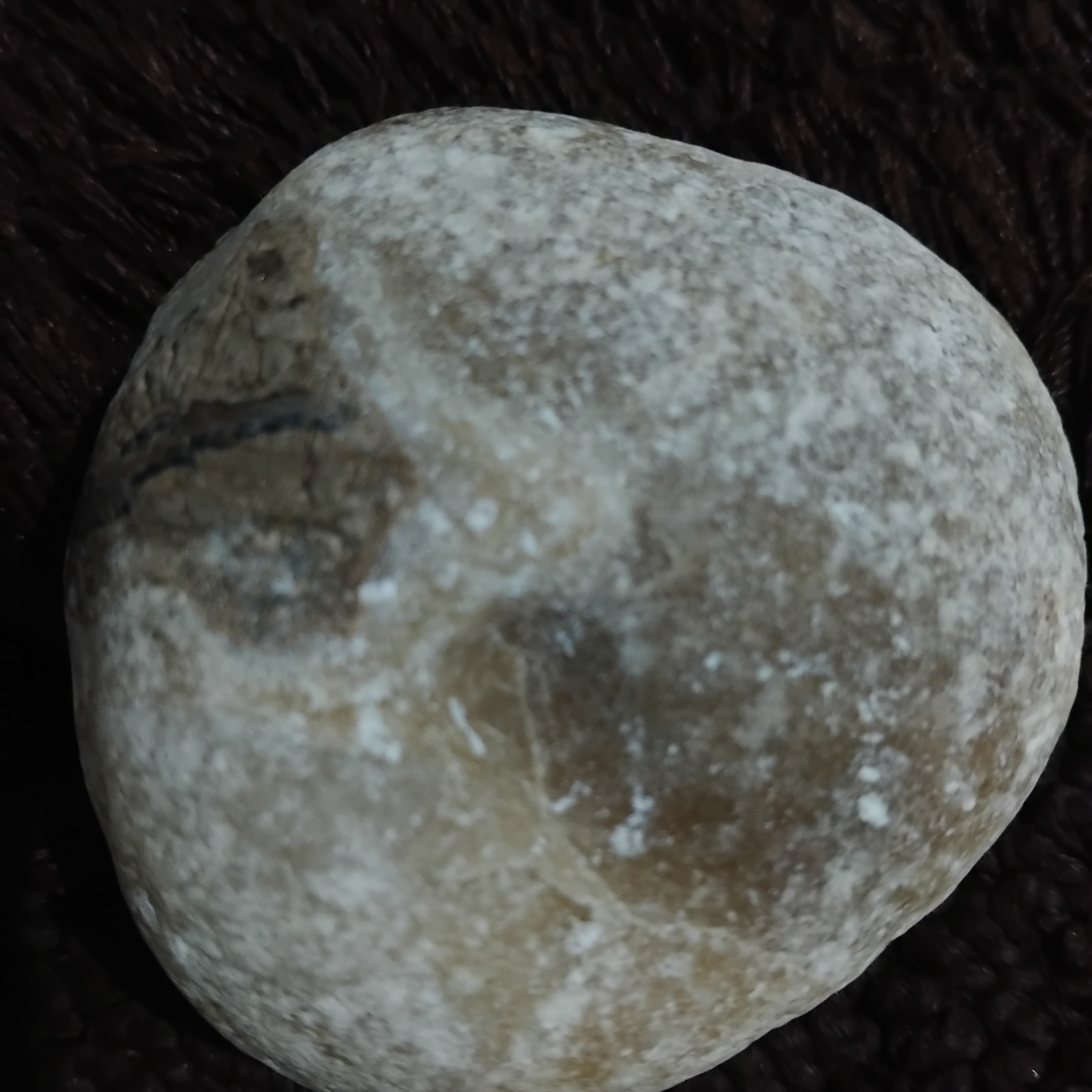 زیبای رافع قشنگ راف