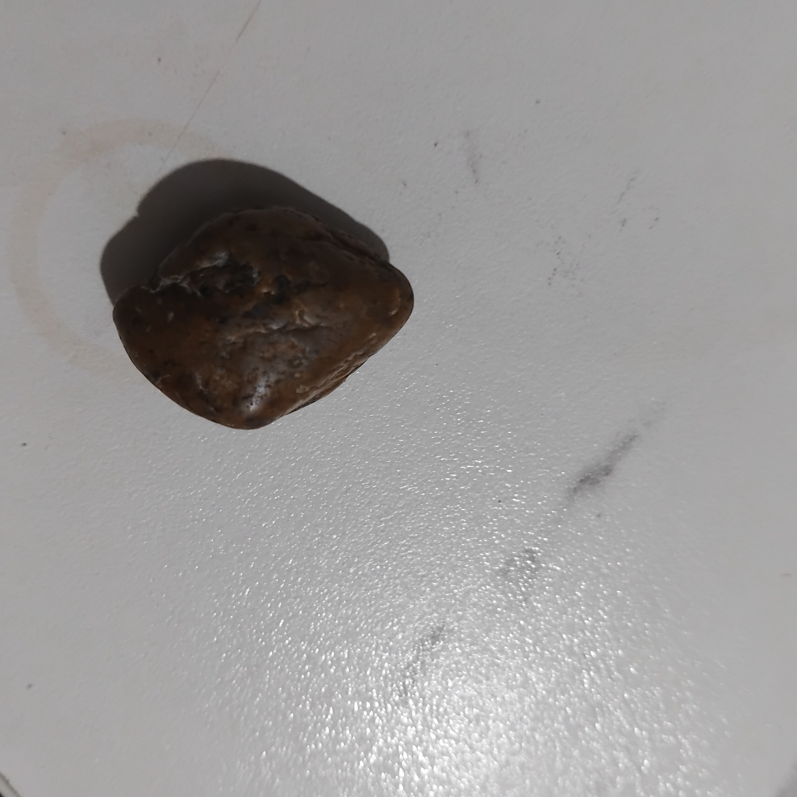 زیبای قشنگ راف کوچیک