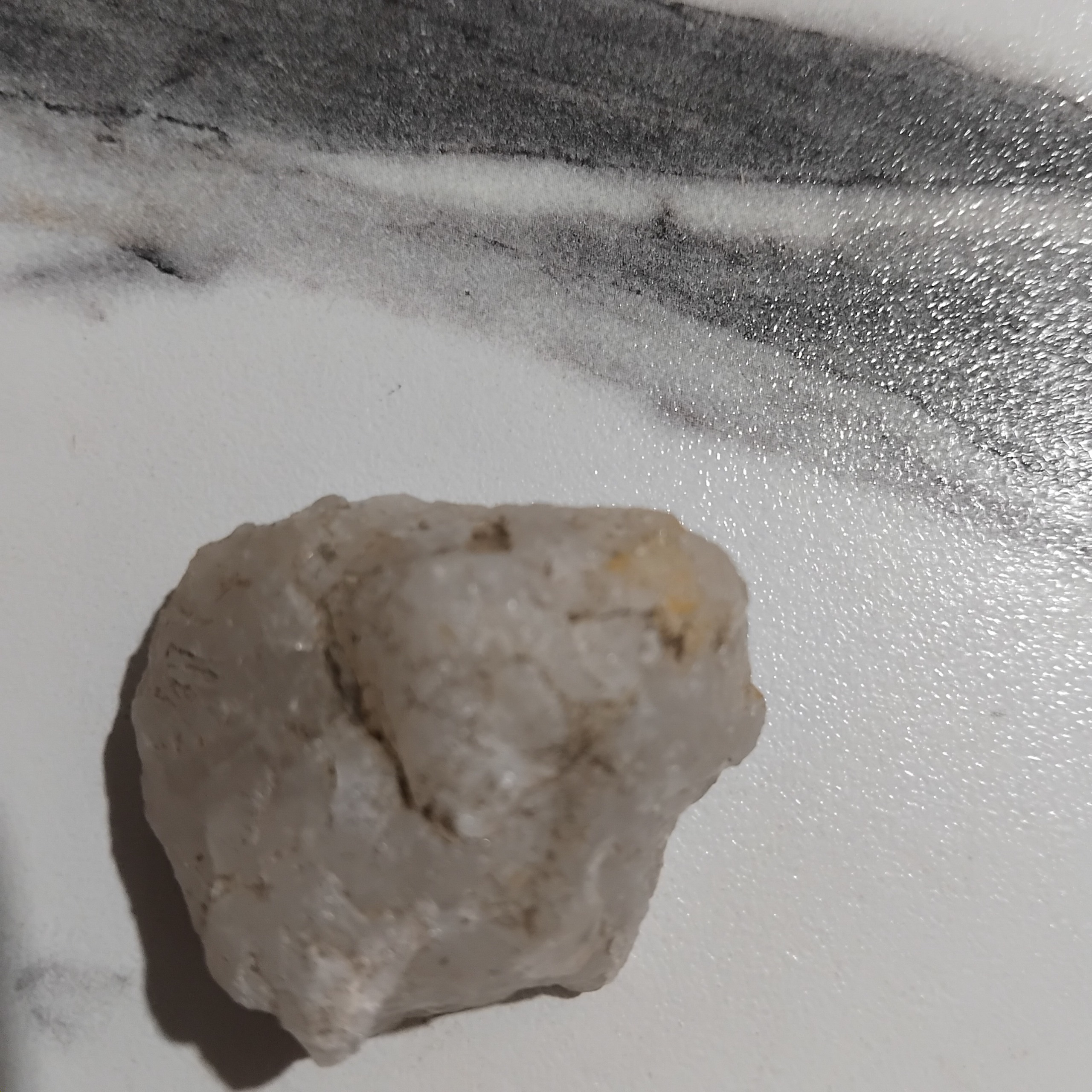 زیبای سفید قشنگ راف