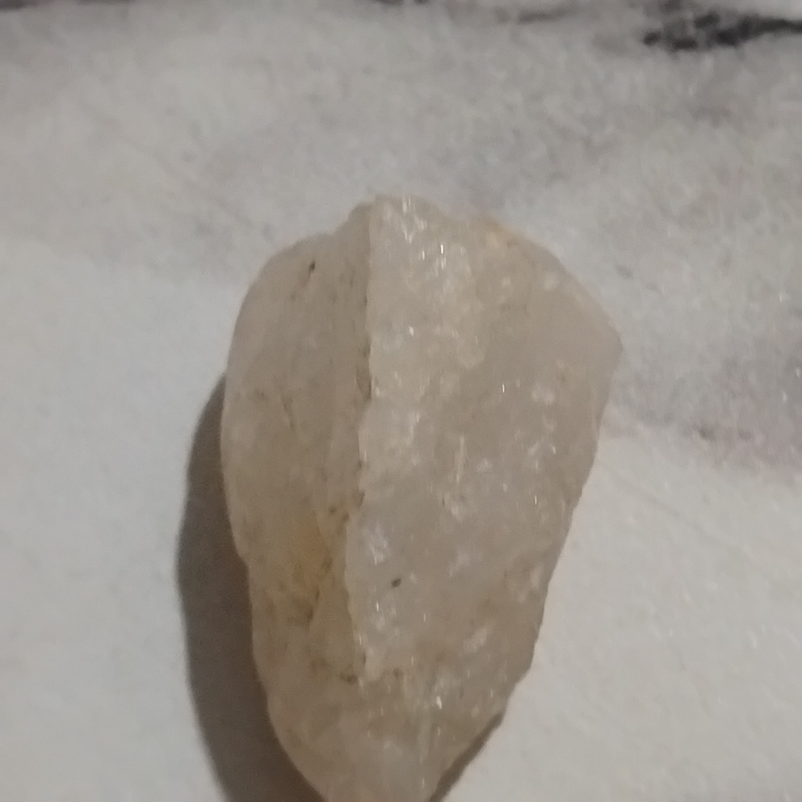 زیبای راف راف راع راف