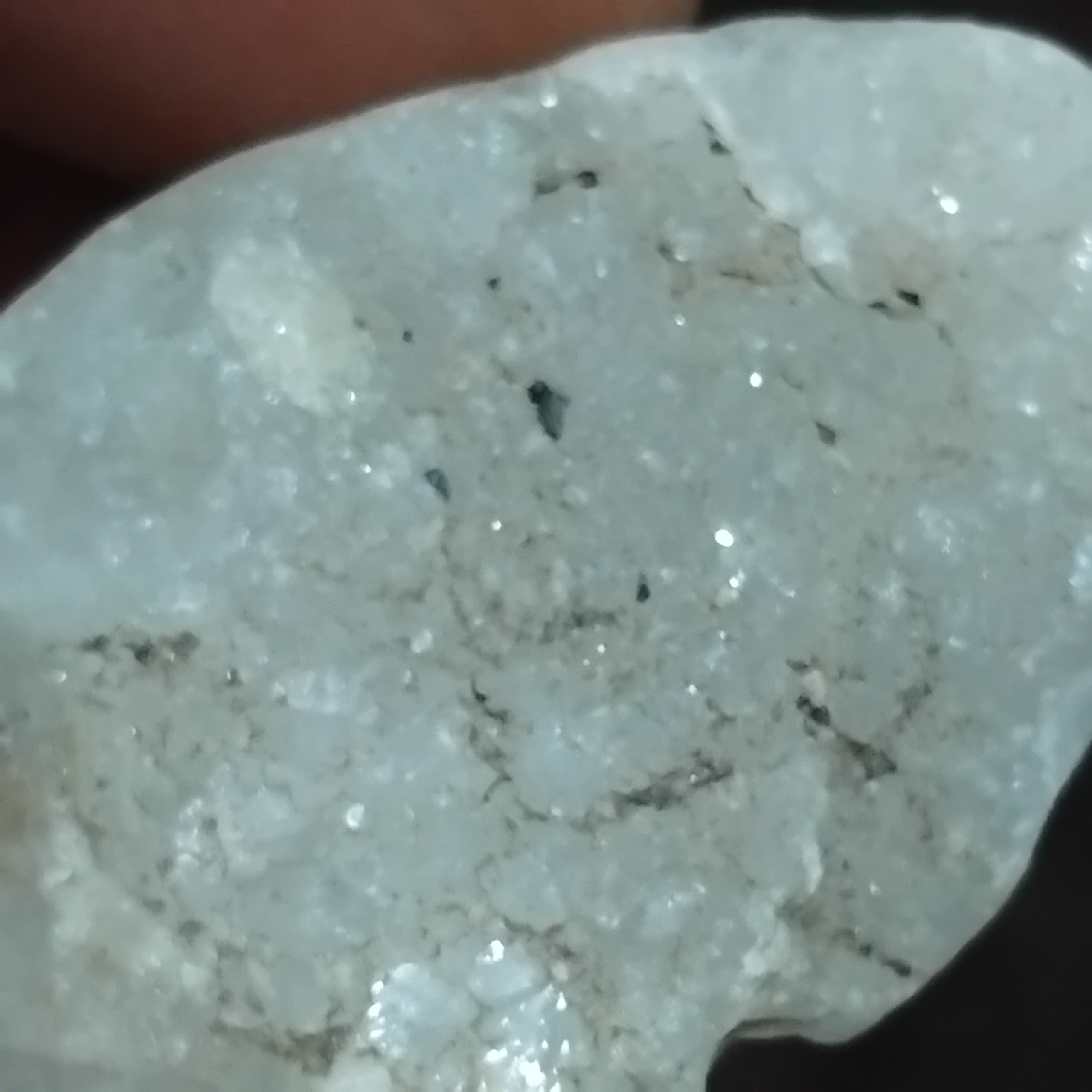 زیبای راف زیلا زبیا