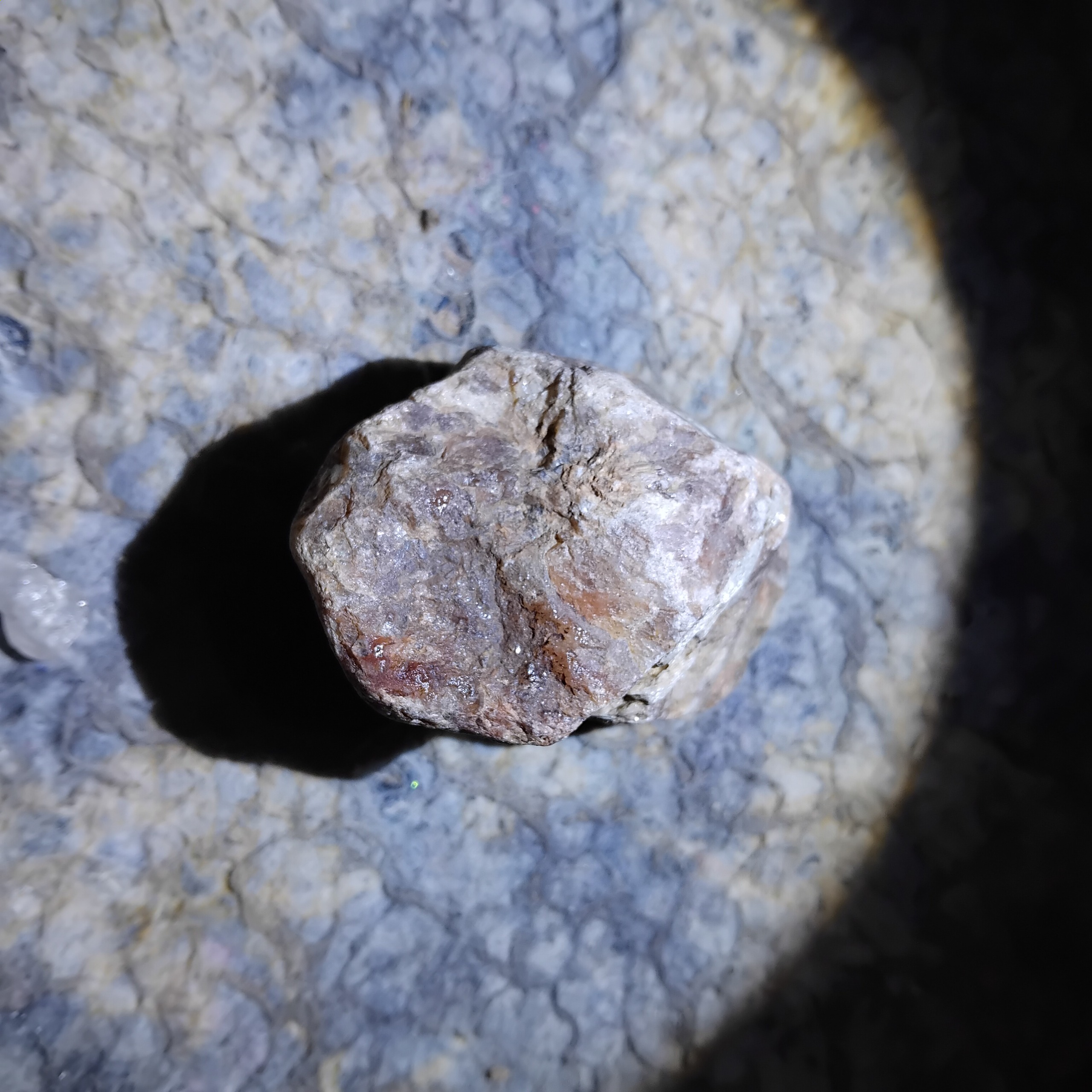 کریستال سرخ راف زیبا