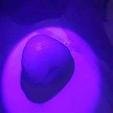 الماس