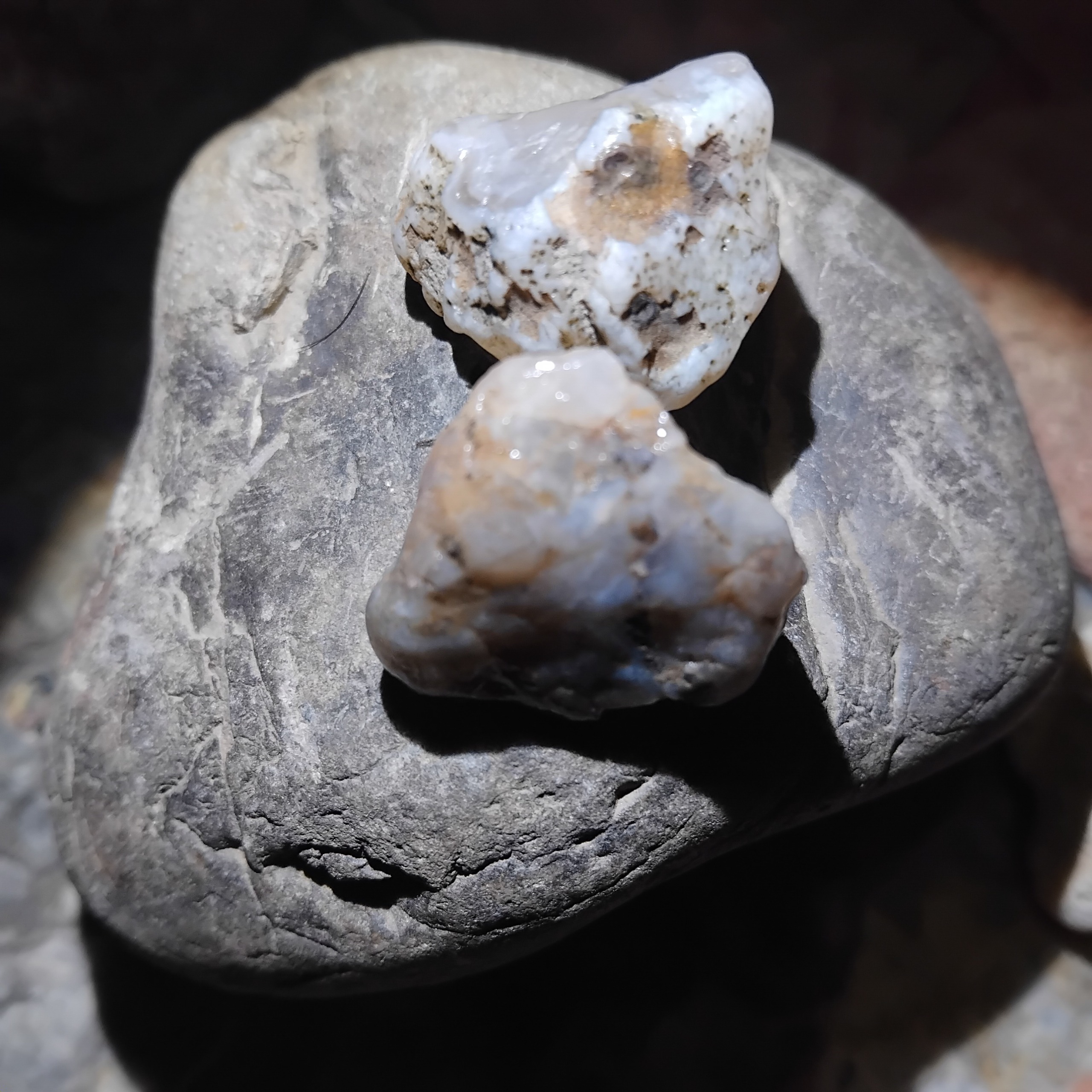 2عددکهربای سفید زیبا