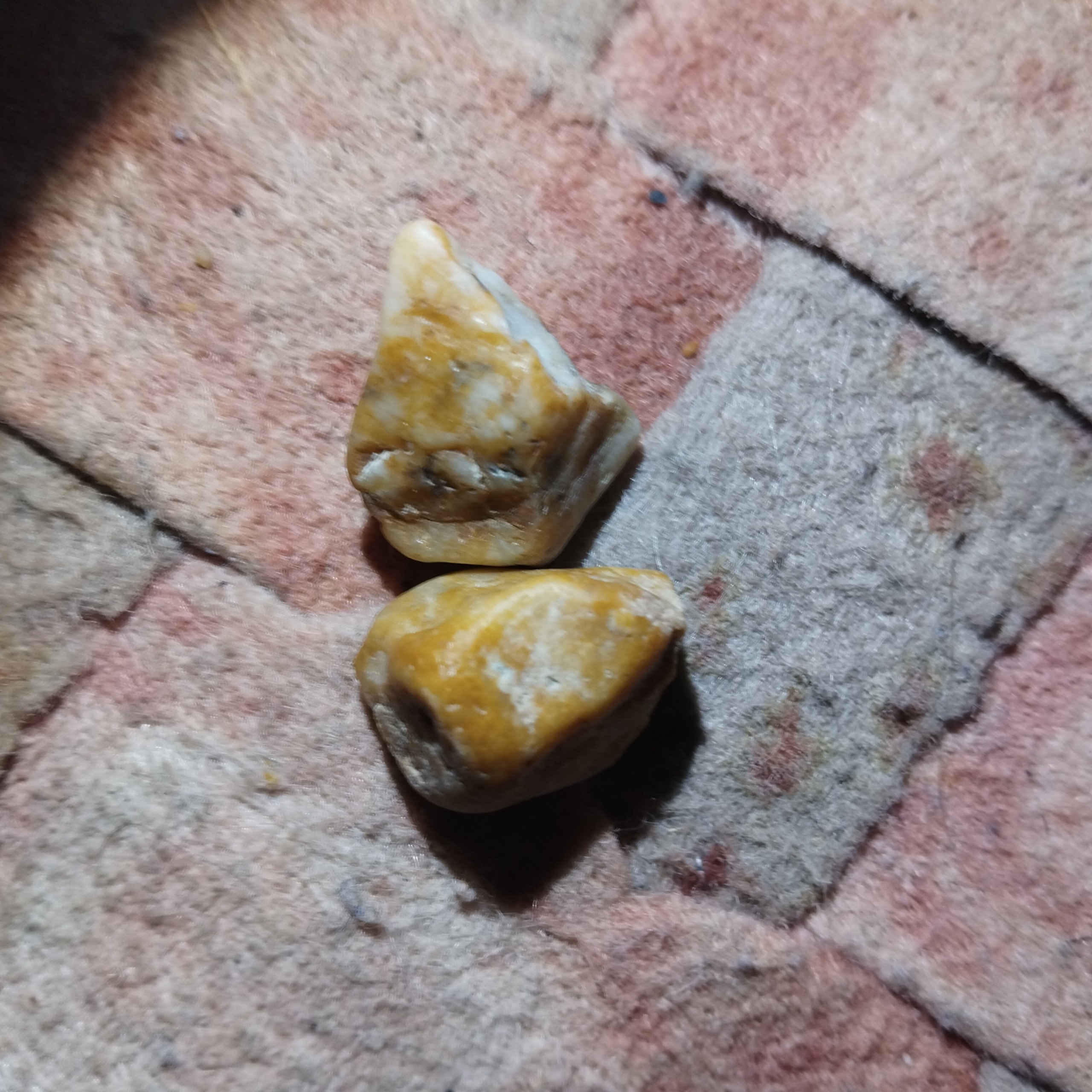 کهربای کوچک زیبا راف