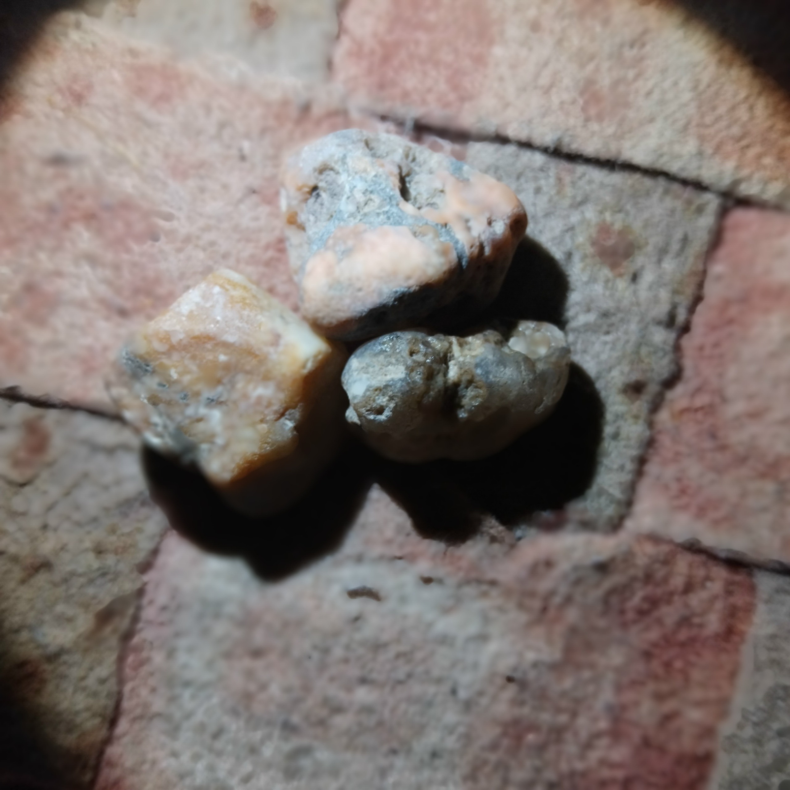 3عدد کهربای زیبا