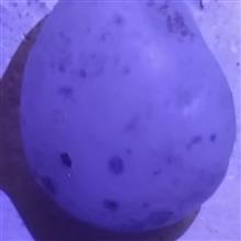 سنگ