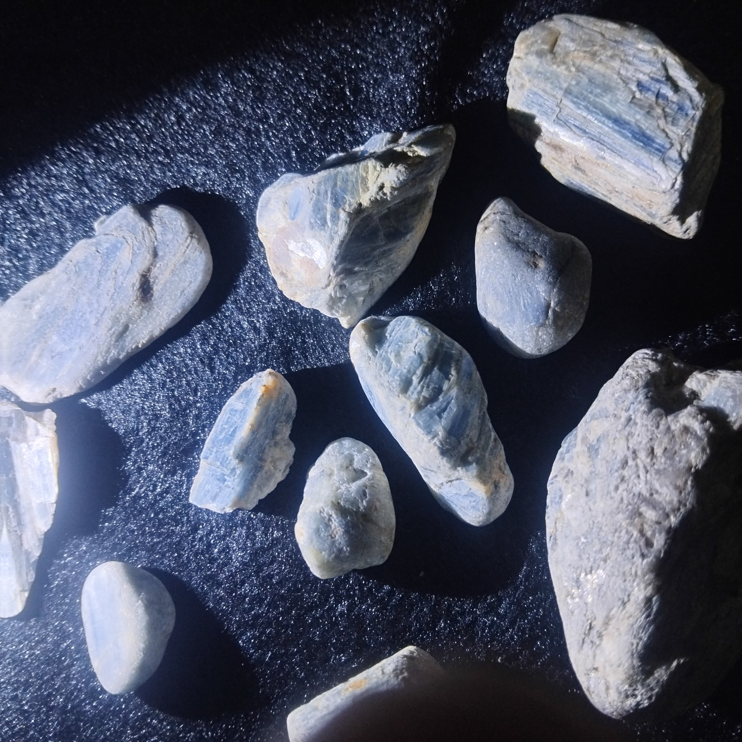 کیانیت زیبا اصل راف