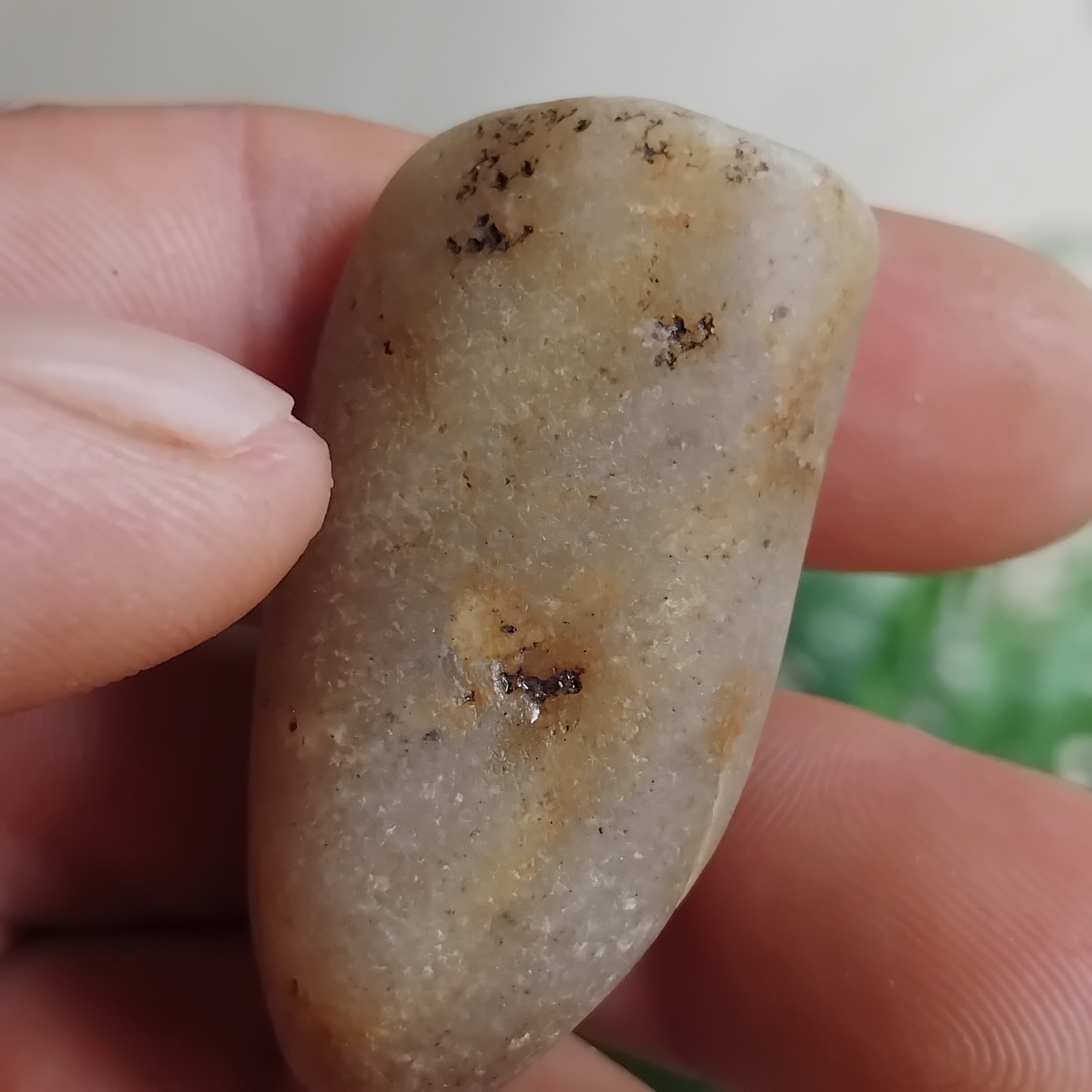 راف یاقوت باسختی 9 اصل