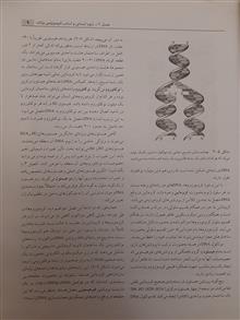 ژنتیک