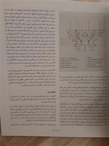 تاریخ