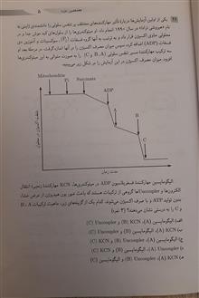 المپیادهای