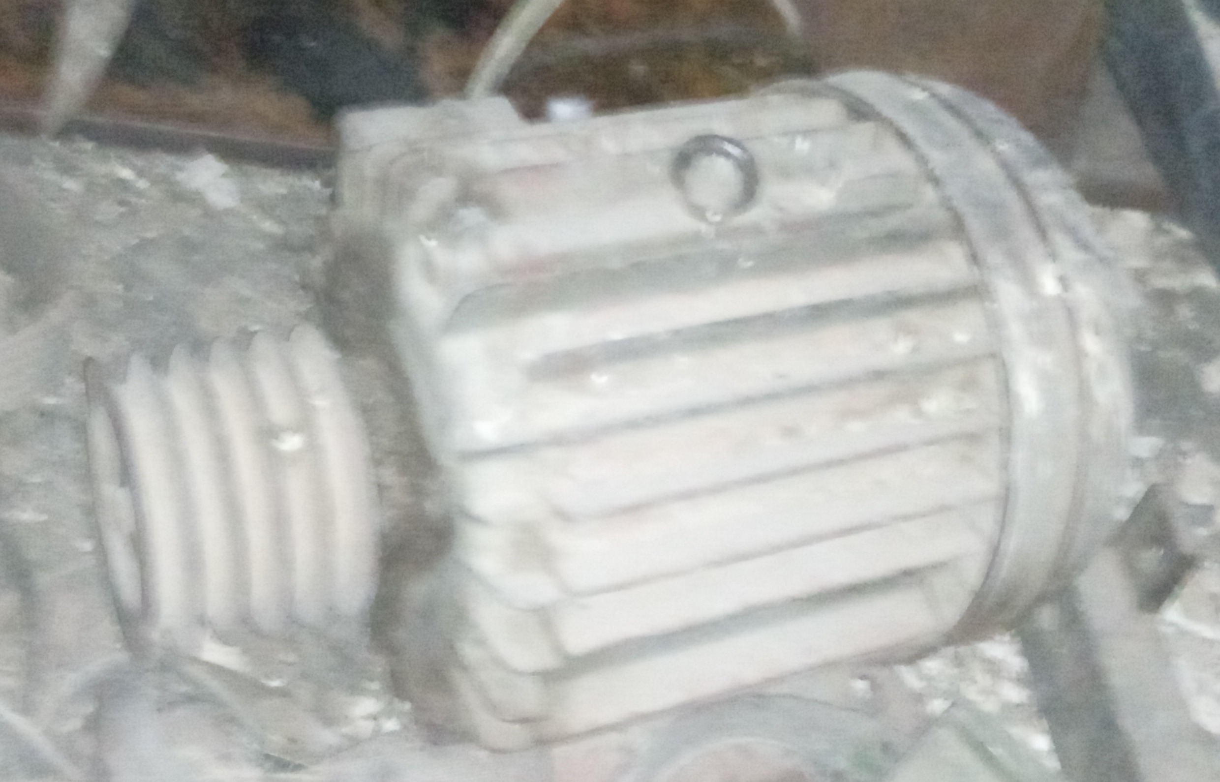 الکترو موتور زیمنس10kv