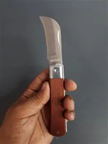 ست