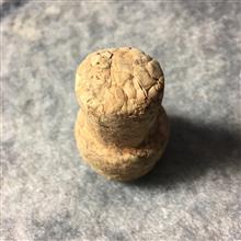 چوب