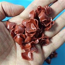 گلبرگ