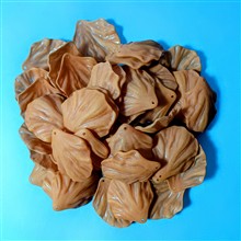 گلبرگ