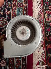 فن
