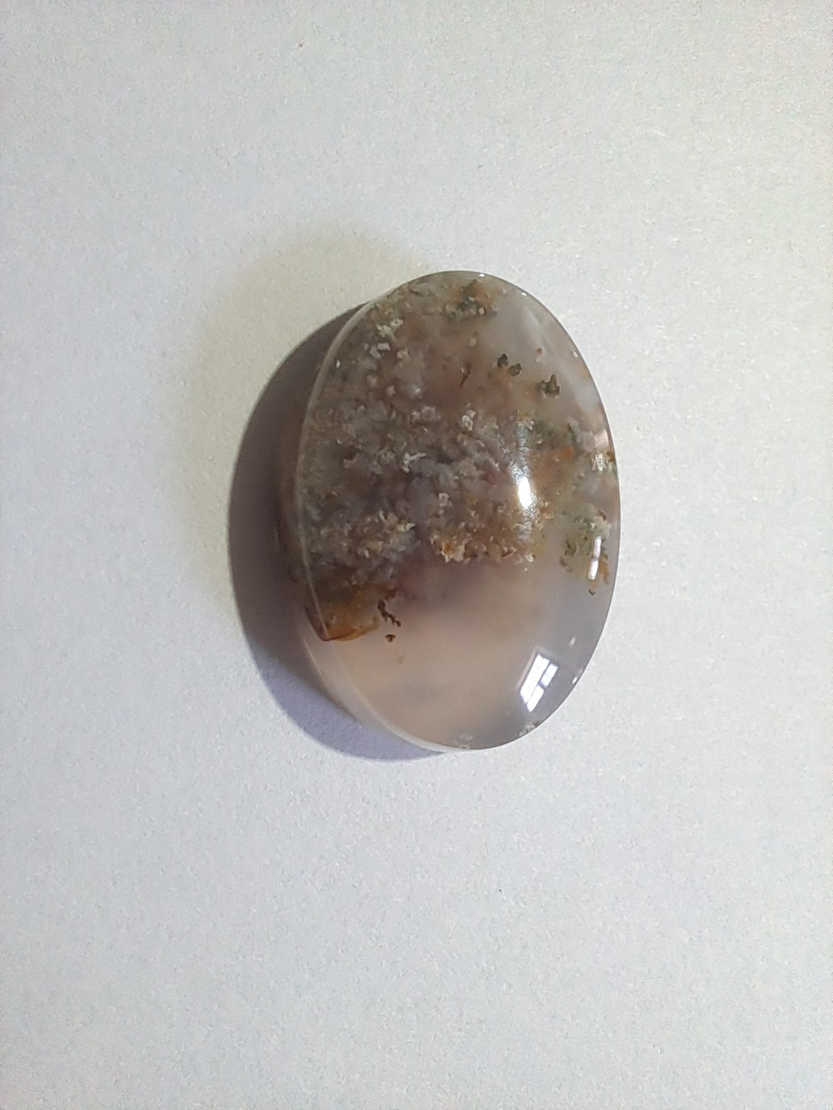 شجر بهاری کد1