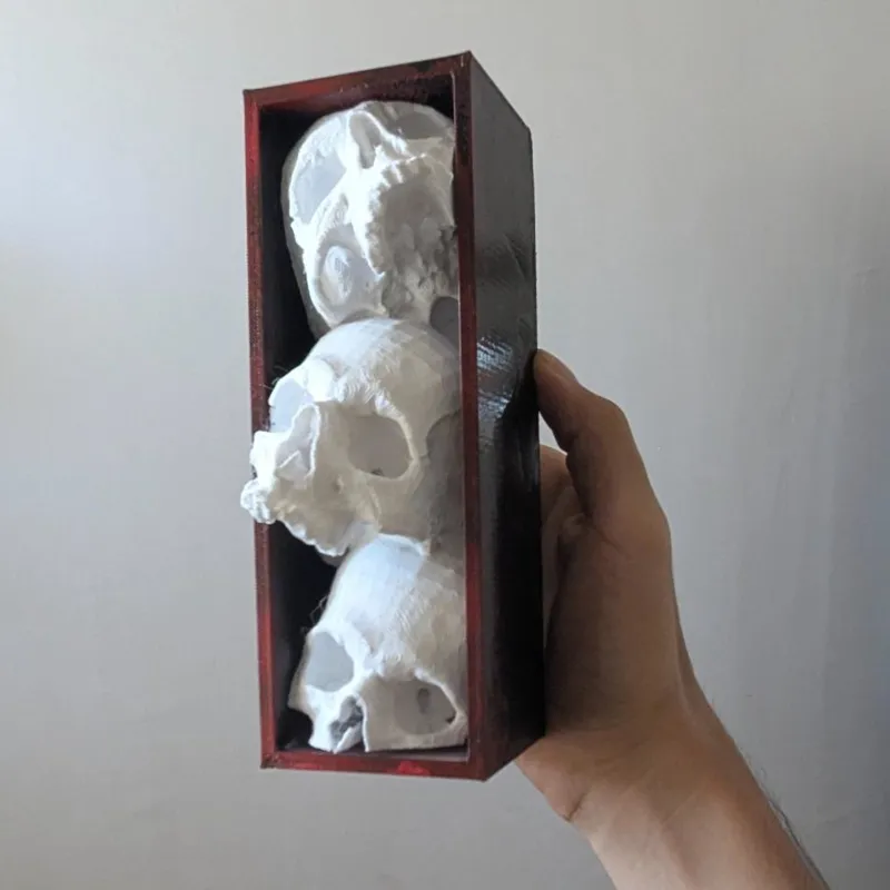 بوک نوک و دکوراسیون کتابخانه مدل جمجمه