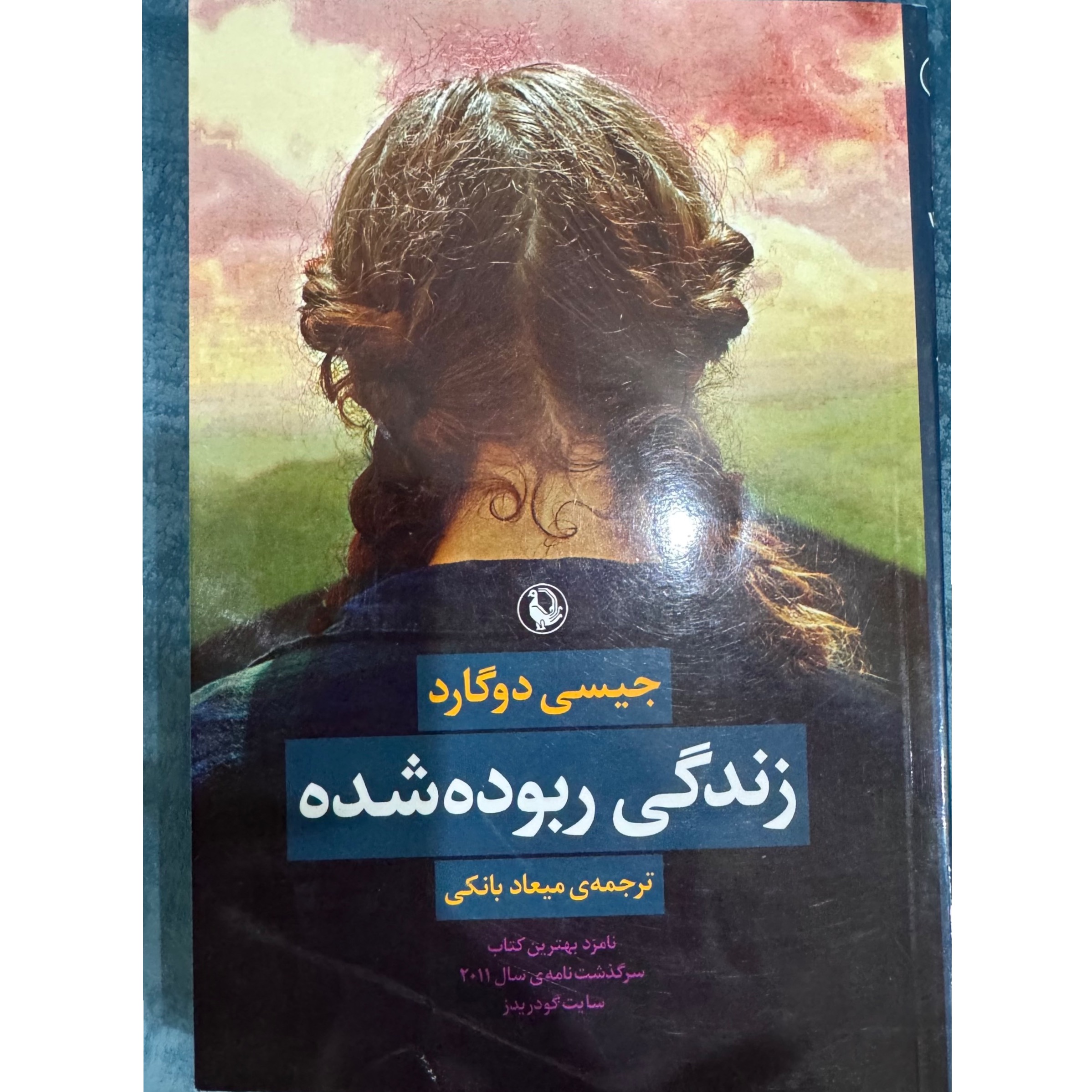 زندگی ربوده شده