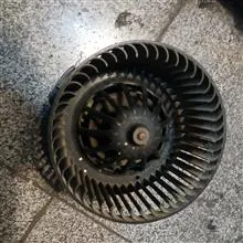 فن