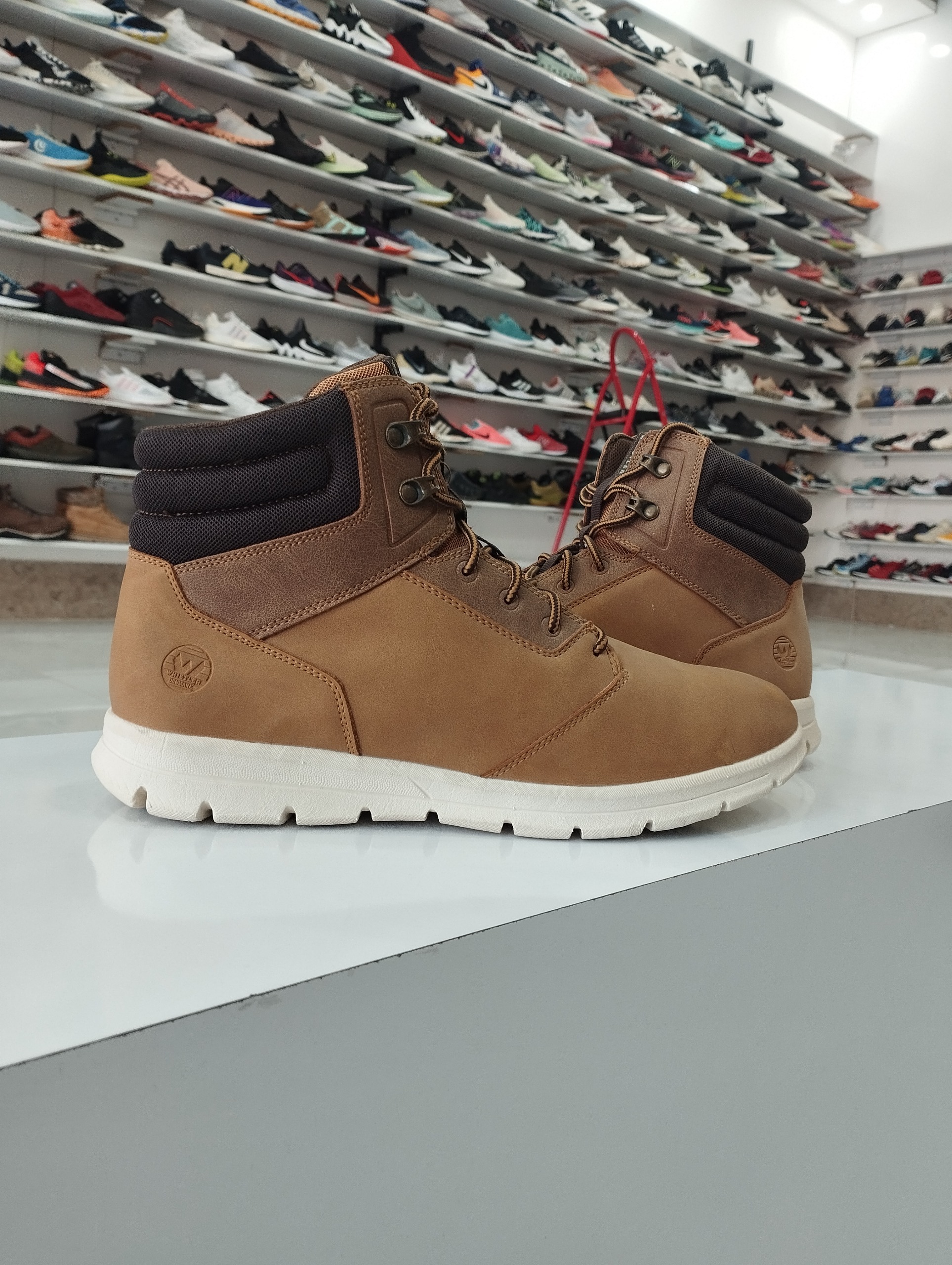 کفش اورجینال WHISTLER سایز44