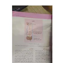 تغذیه
