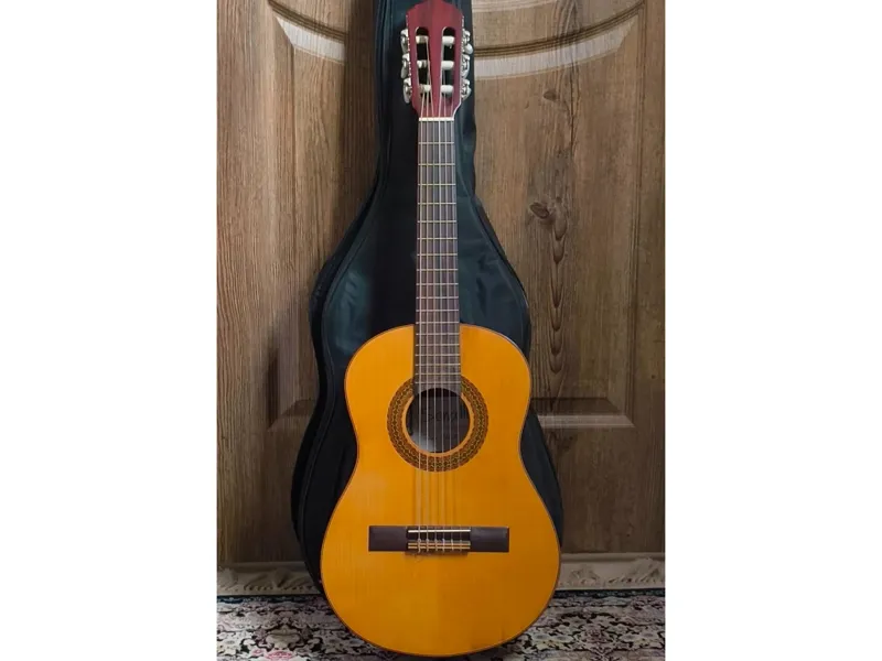 گیتار ¾ چوب طبیعی مدل 510P با کاور