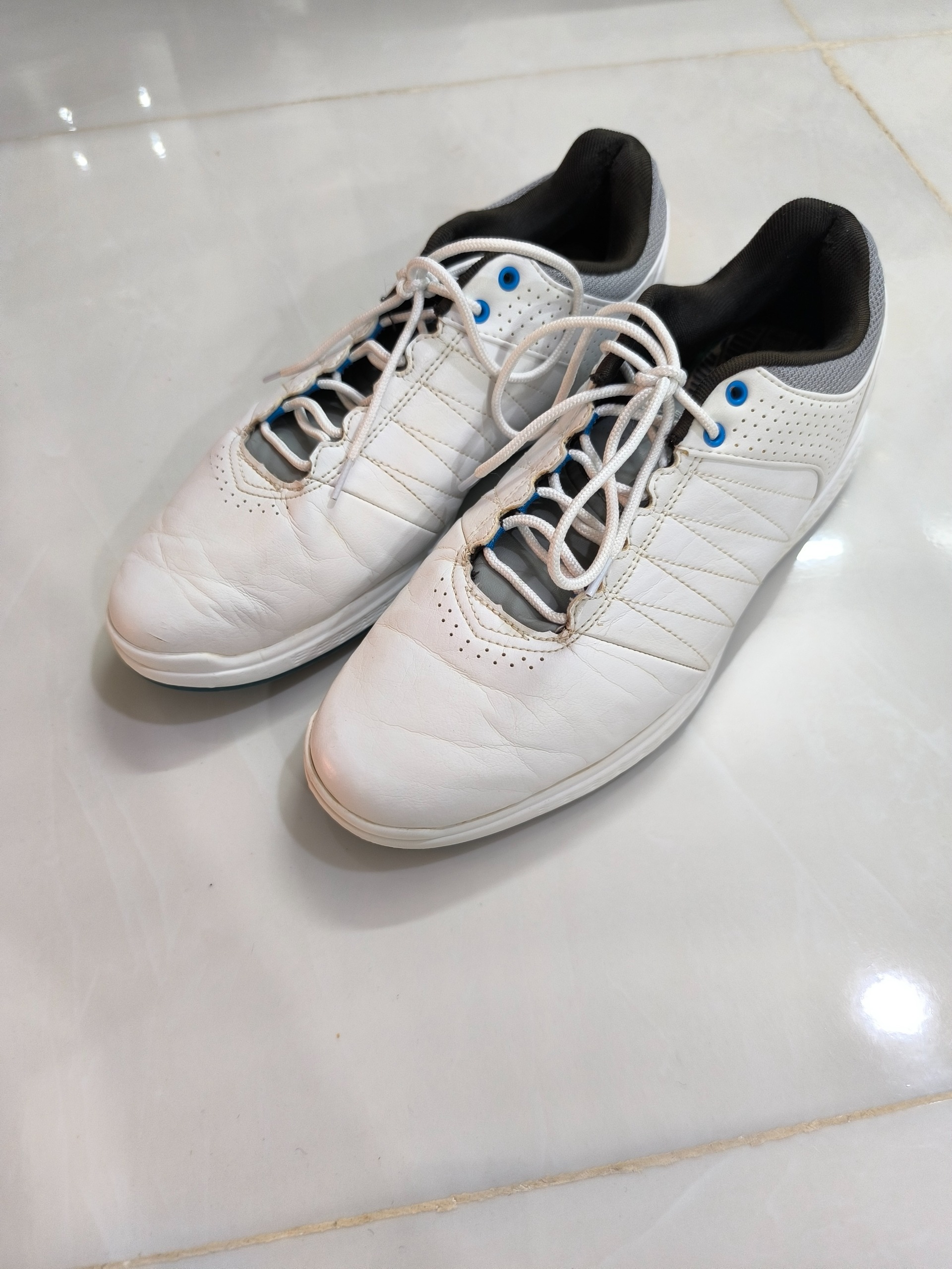 کتونی اسکیچرز اورجینال