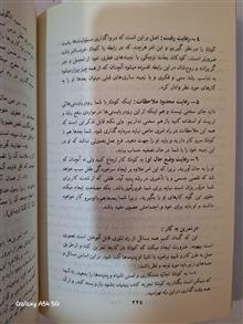 تربیت