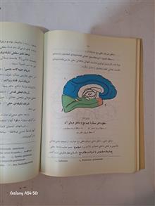 بیماری