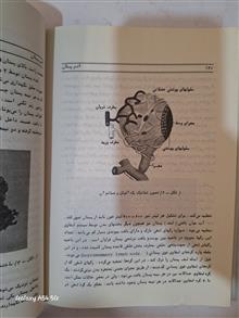 بیوسنتز