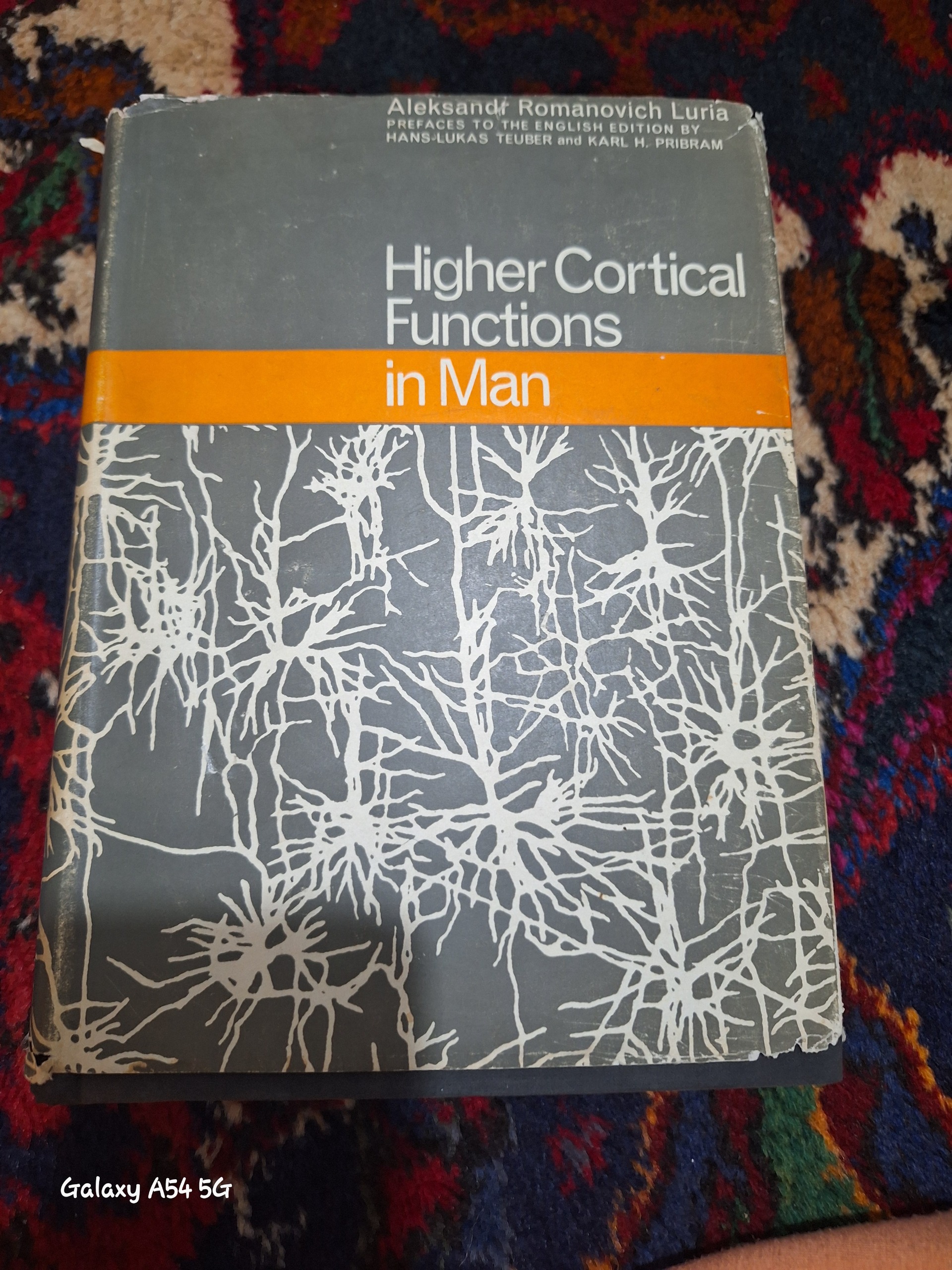 Higher cortical functions in man