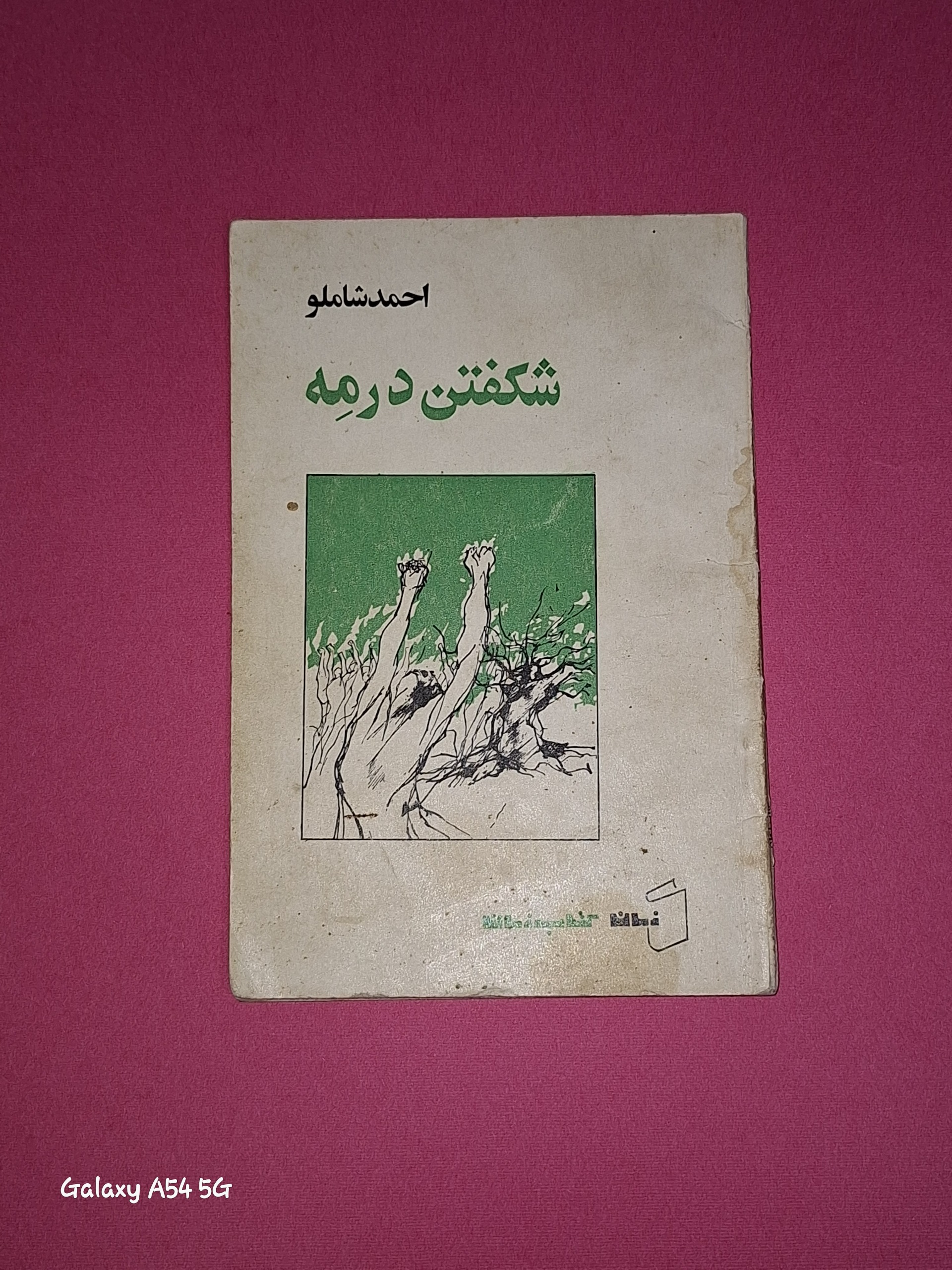 شکفتن در مه