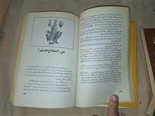 زبان