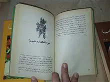 زبان