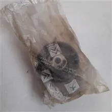 بوش