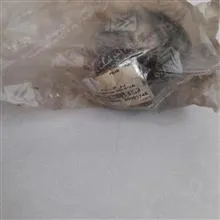 بوش