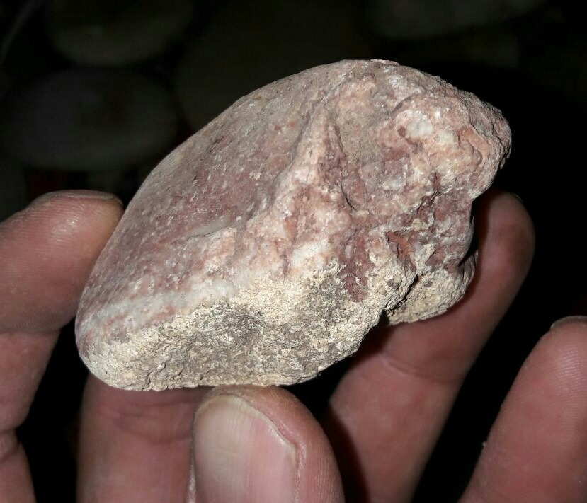 سنگ فسیل باستانی