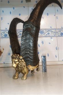 دکوری