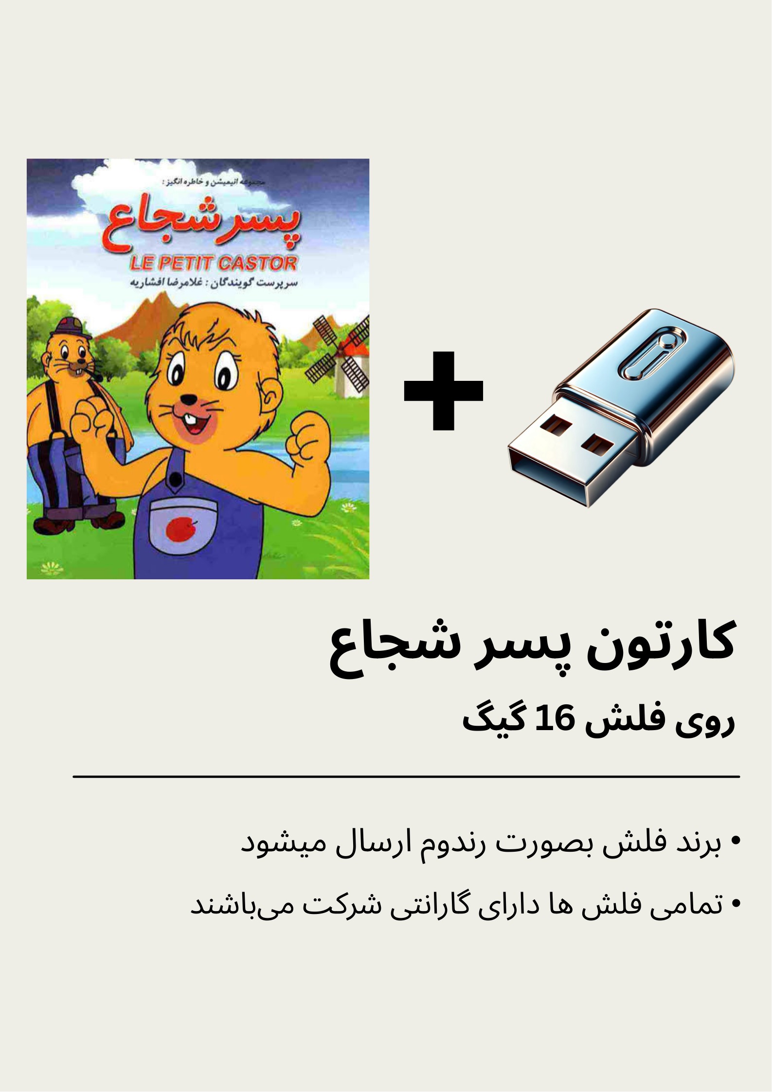 انیمیشن سریالی پسر شجاع بهمراه فلش