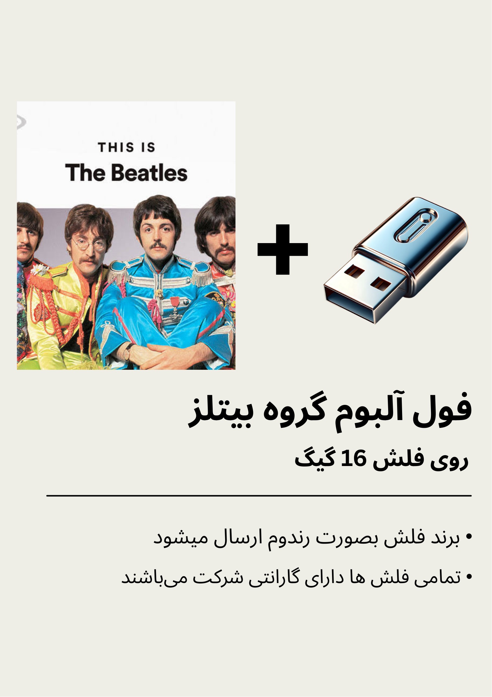 فول آلبوم گروه موسیقی بیتلز بهمراه فلش