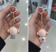 فلش