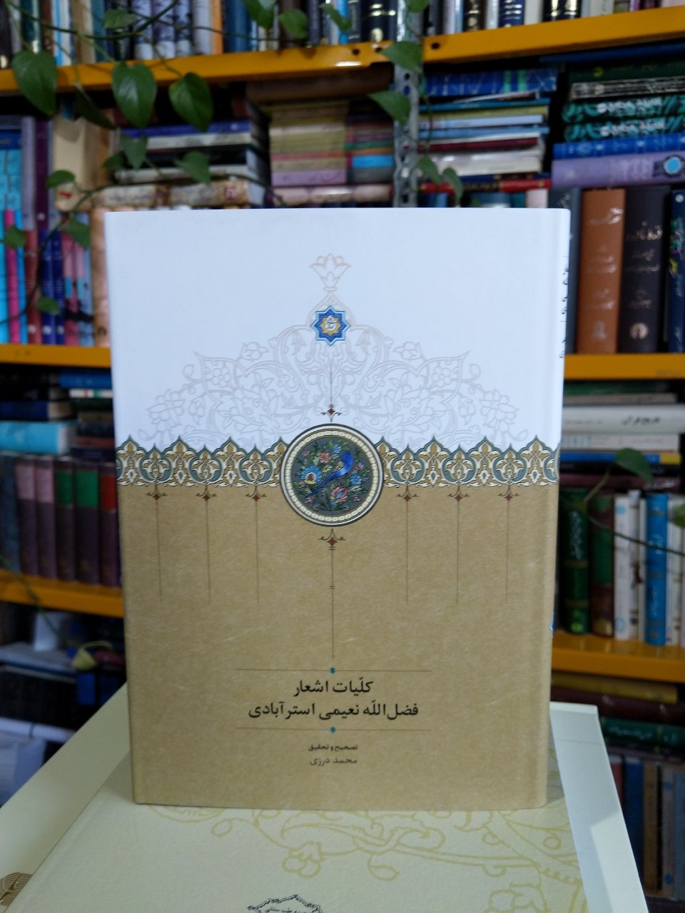 کلیات اشعار فضل الله نعیمی استرآبادی