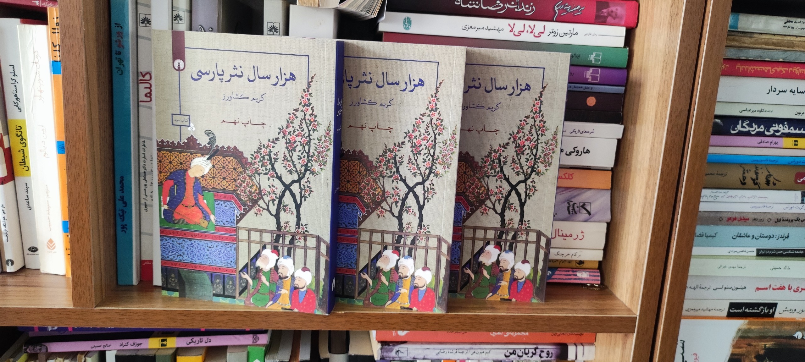 هزار سال نثر پارسی سه جلدی